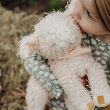 Load image into Gallery viewer, Hammie The Pig