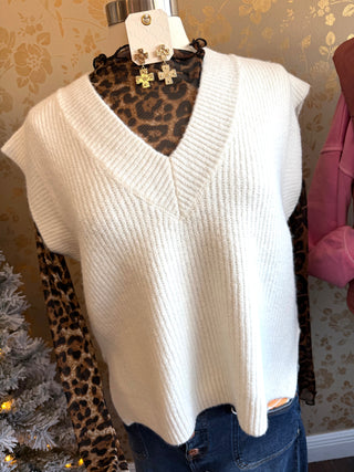 Mesh Leopard Long Sleeve Top