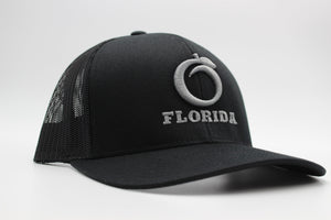 Black & Grey Logo Snapback Hat